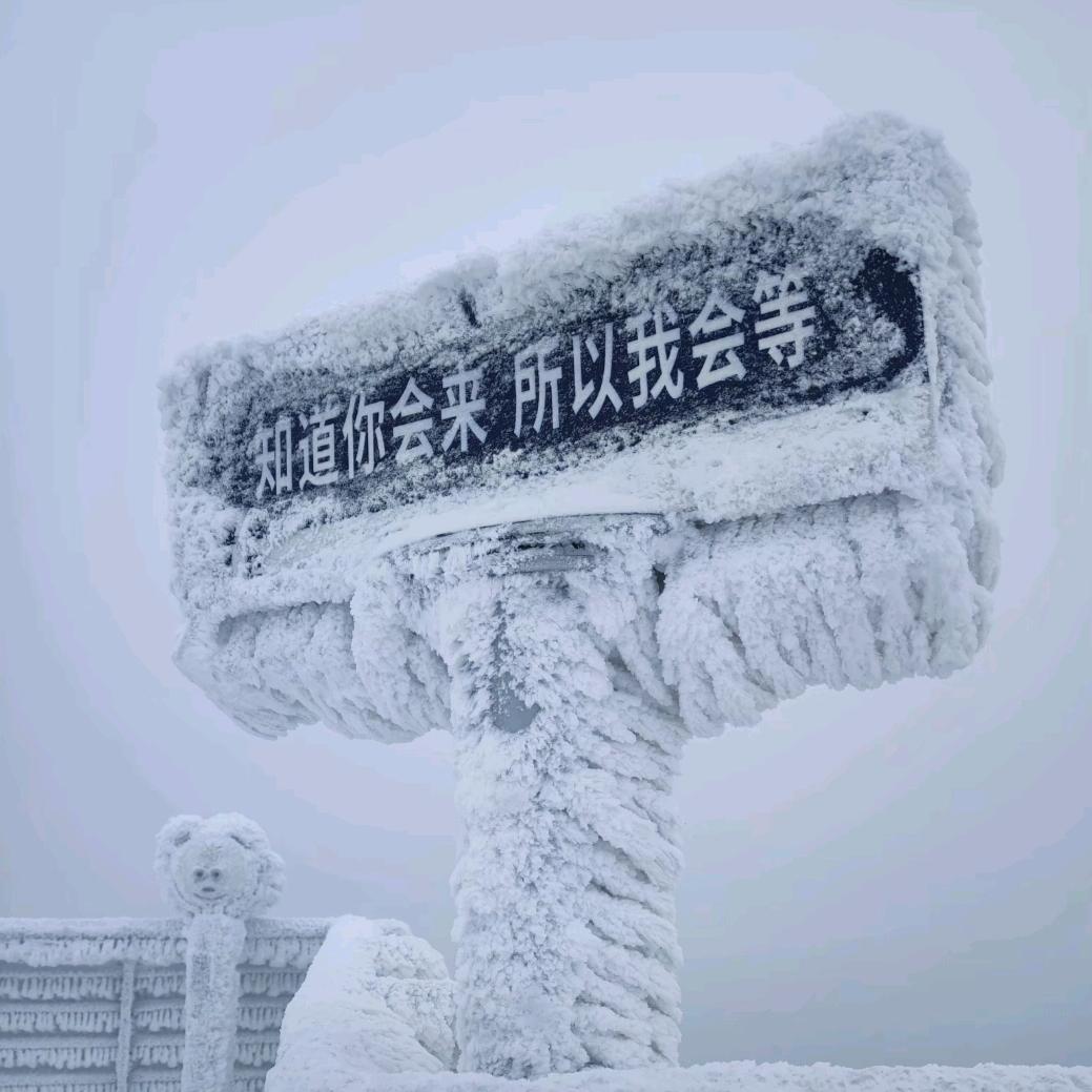 奔向大同世界的我们