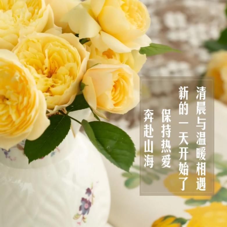 旗袍姐聊房产