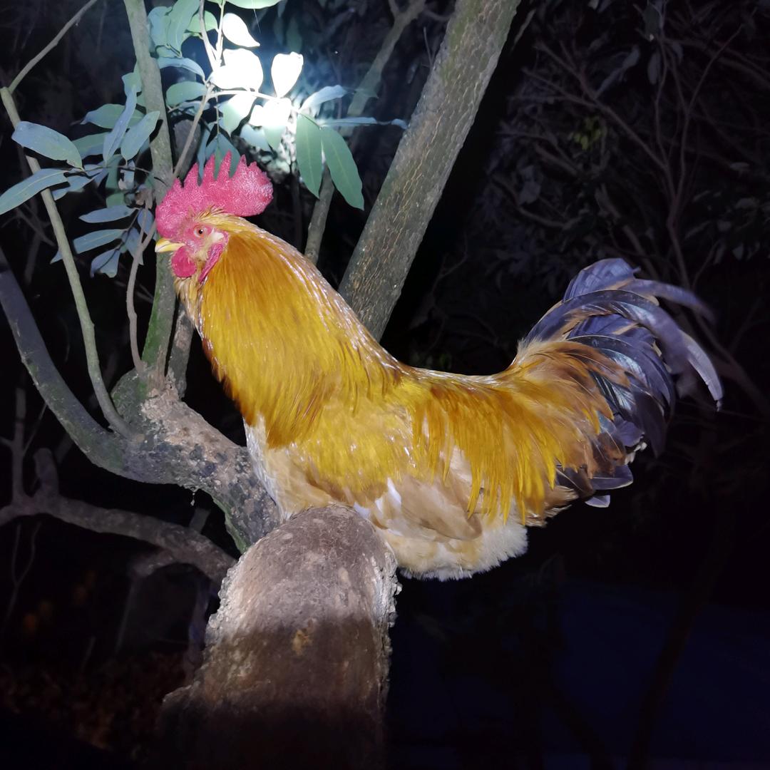 老兵生态养殖场子