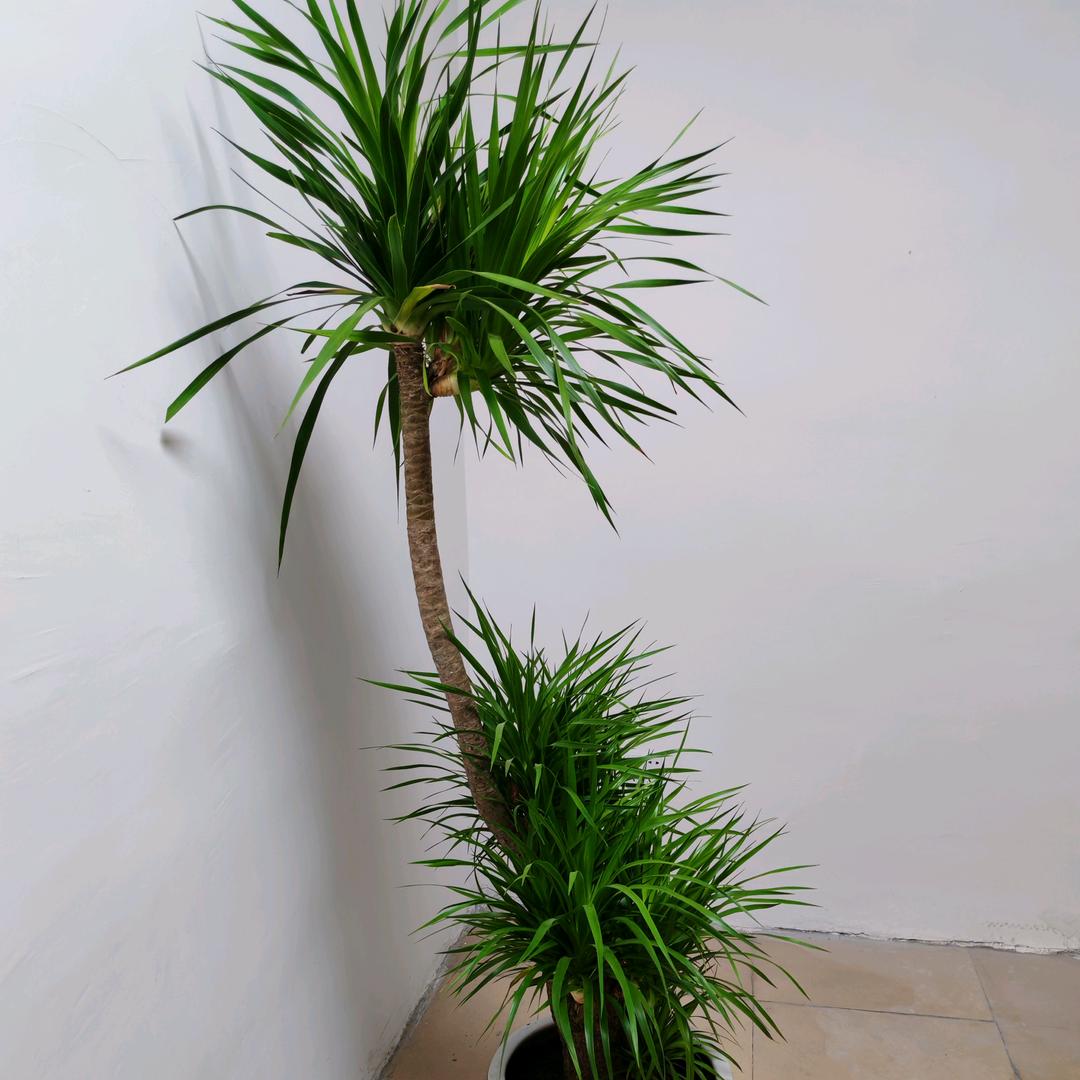 健康是福