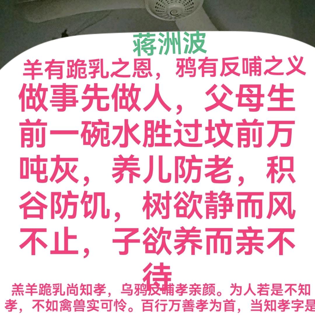 👬🏠🖥️🚘蒋洲波橱窗好物🚘🖥