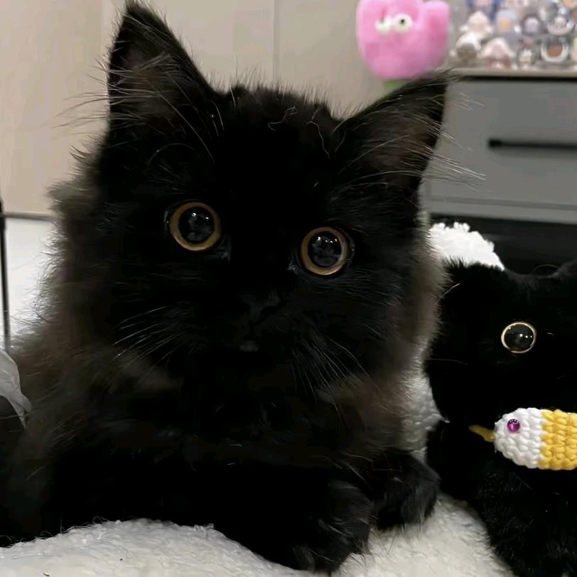 yyT💕