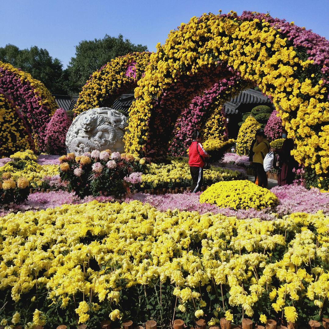 娟姐（拒绝私聊)