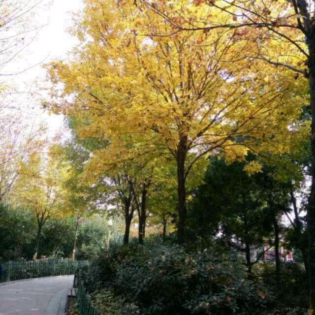 依然是你❤️❤️