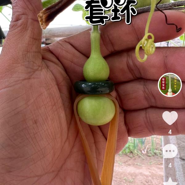 财源滚滚