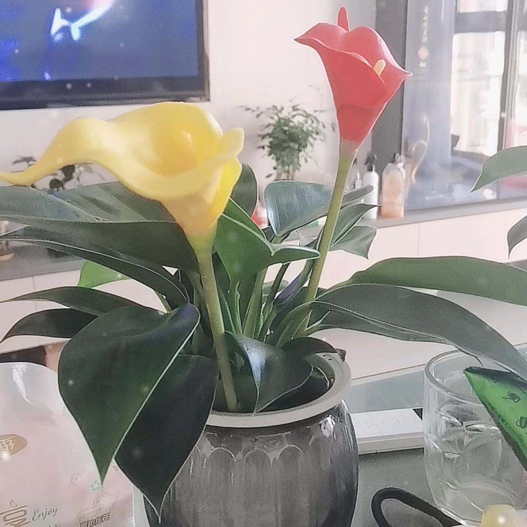 情真意切