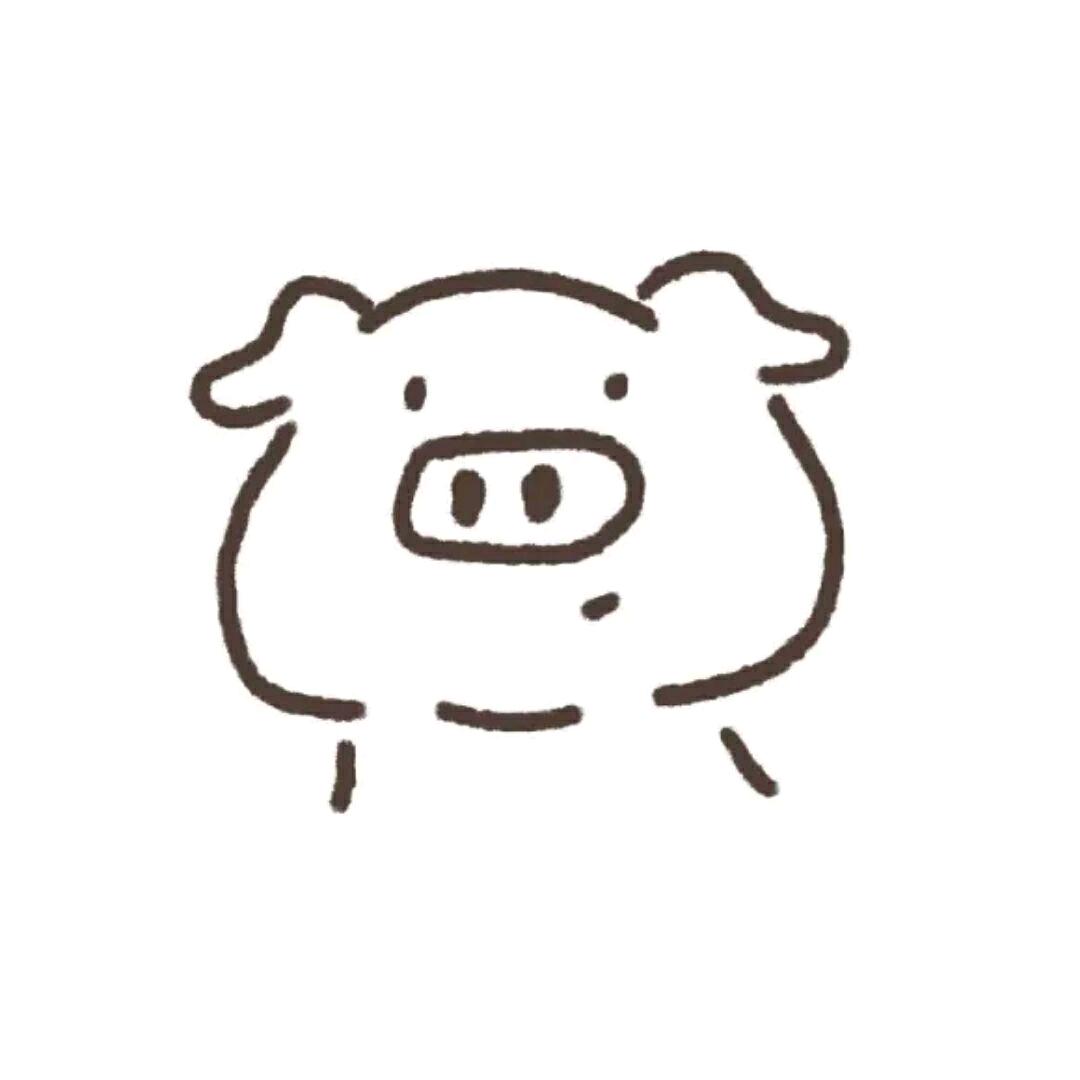 🐷坤.