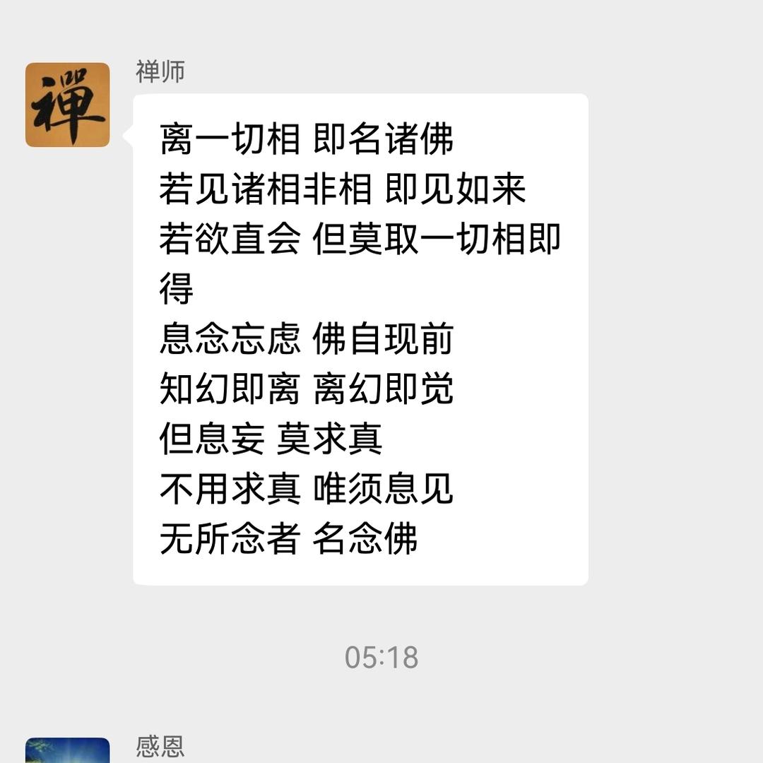 绽放