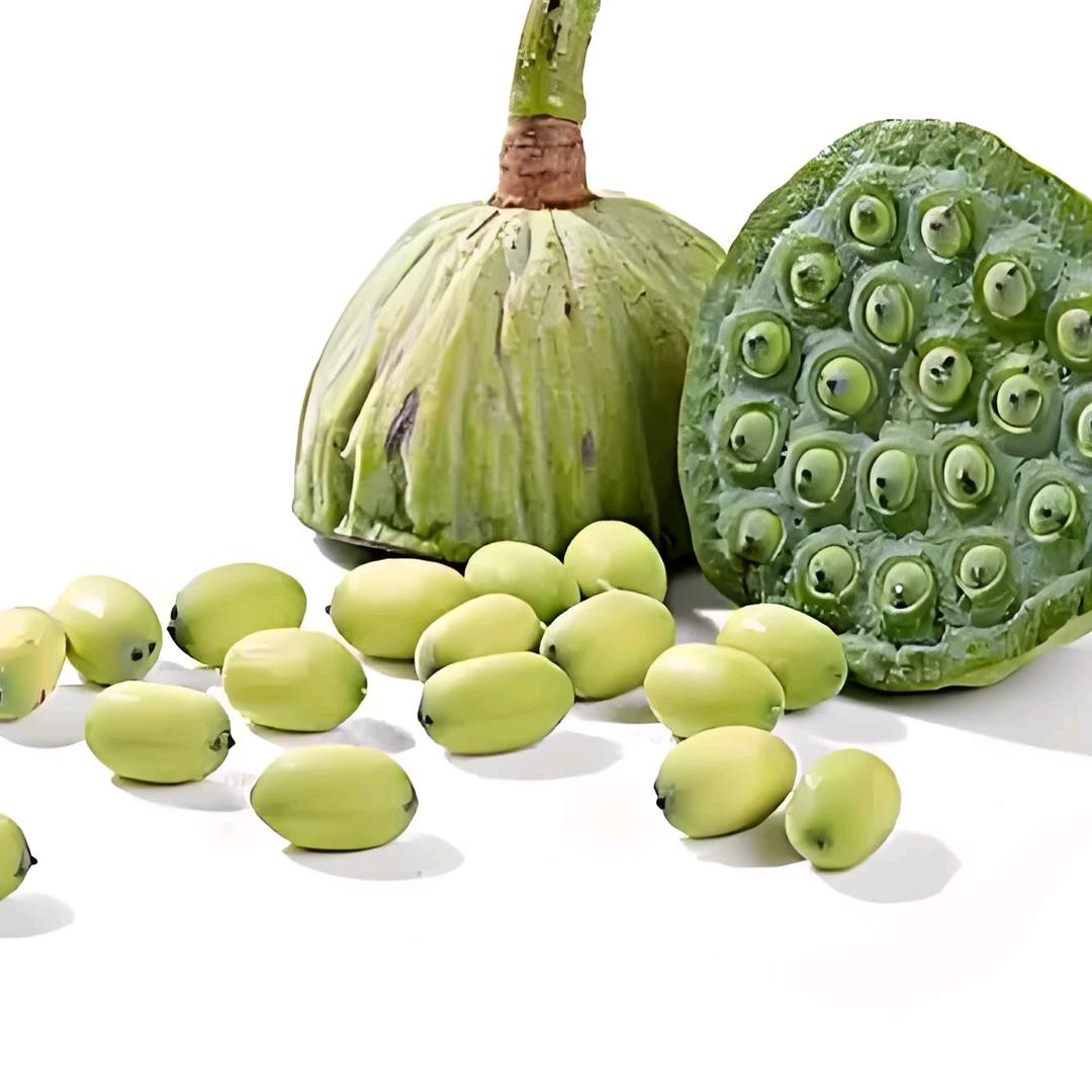 白子