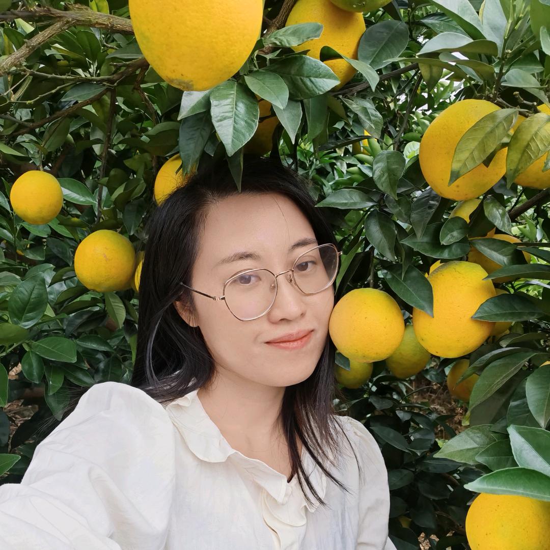 赣南大表姐（土特产，梓山酱油）