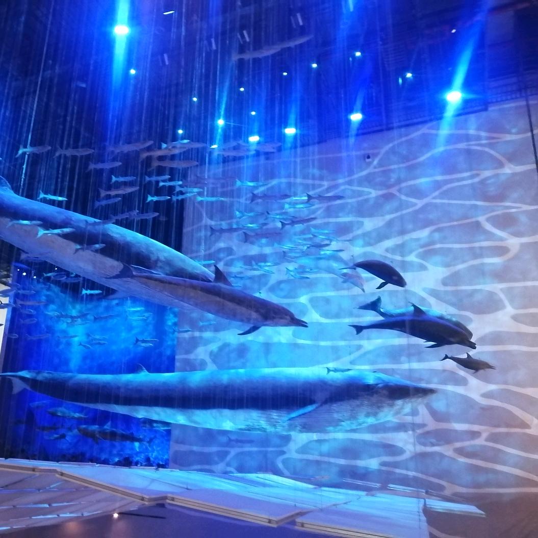 海洋馆