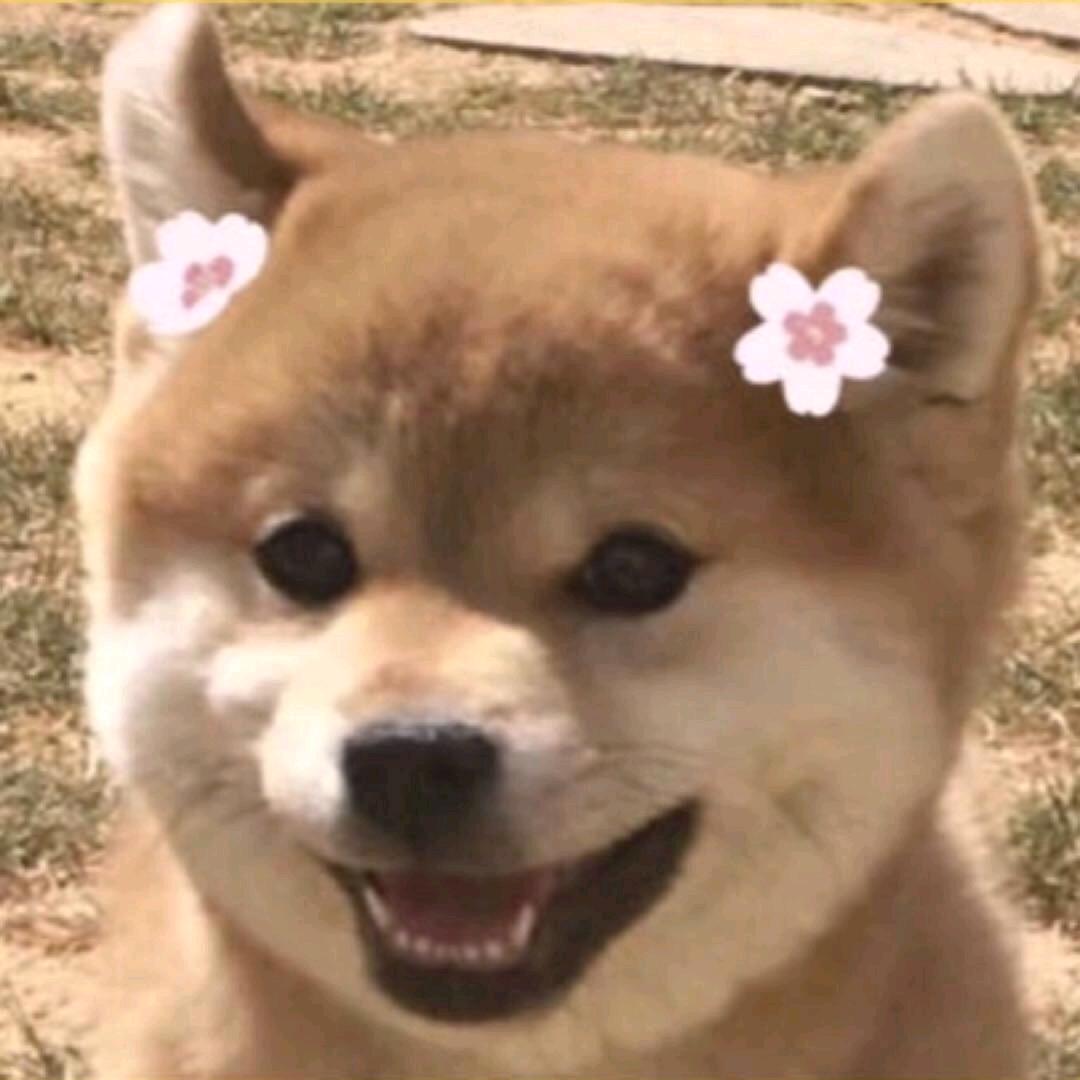 唯独烈酒能伴我