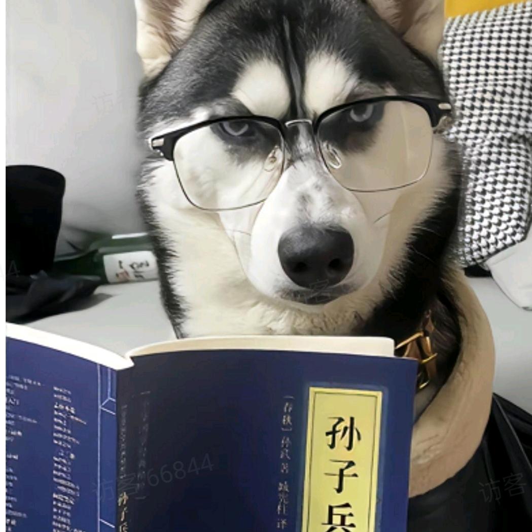 最皮的那只虾
