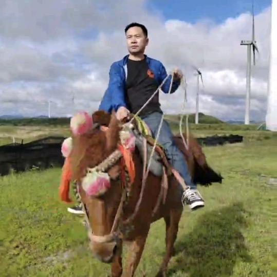毛辣果头像