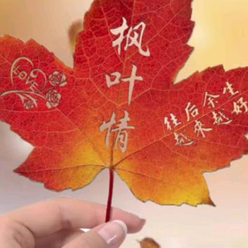 ♥鱼的记忆♥