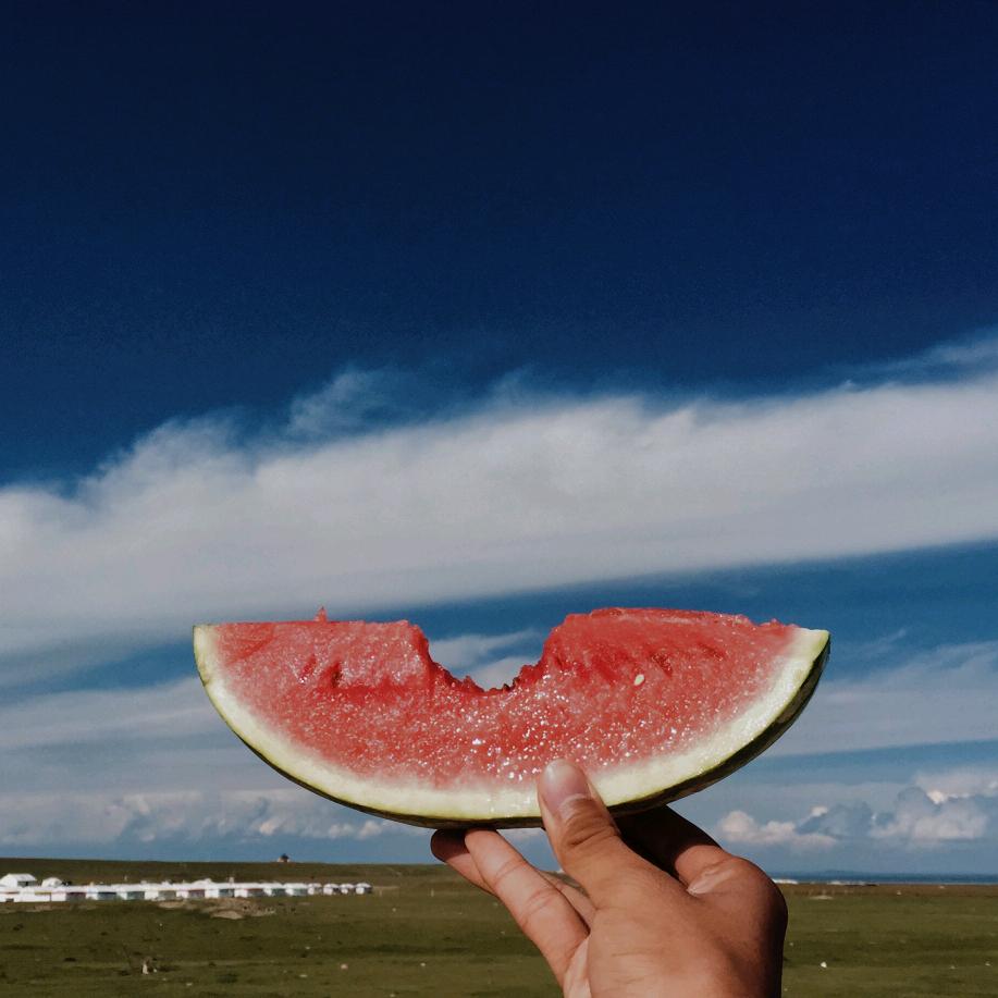 🍉西瓜飞侠✈️📸