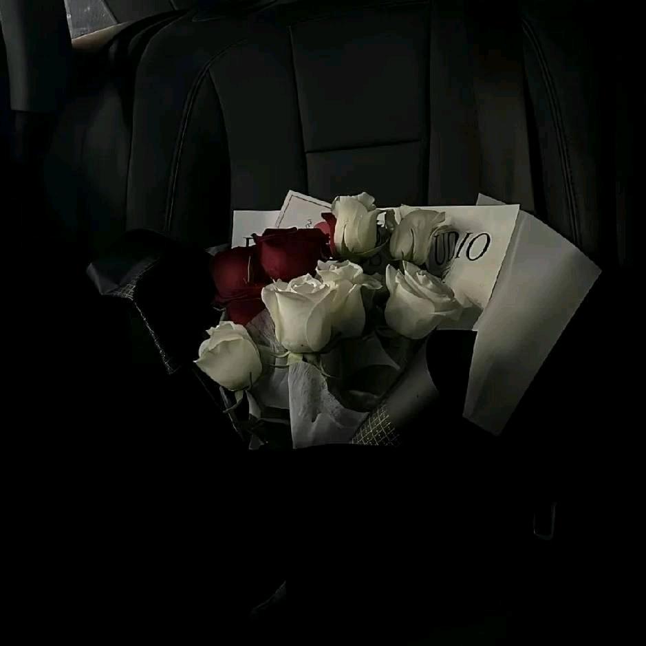 დ᭄ꦿ吥說꧔ꦿ℘⸙