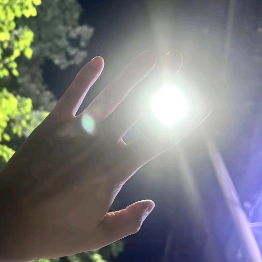 橙子菠萝