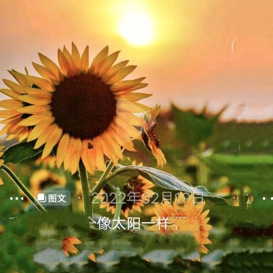 越来越好👌🏻，