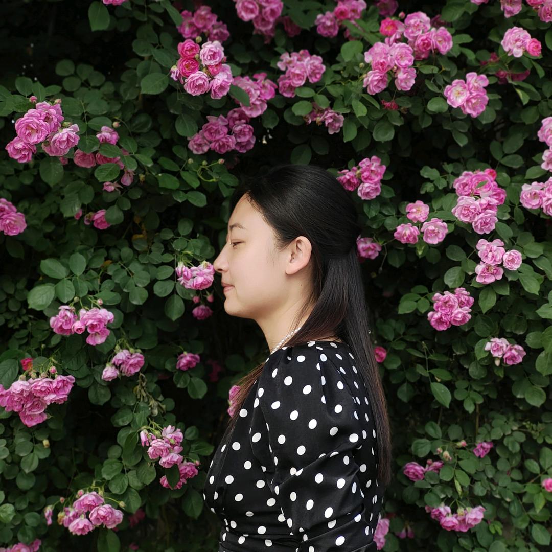 小红花 【奋斗版本】