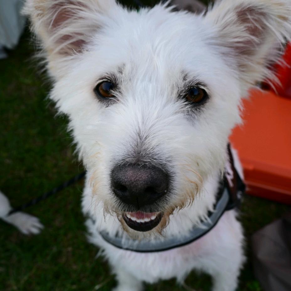 余财神（碎碎日记）