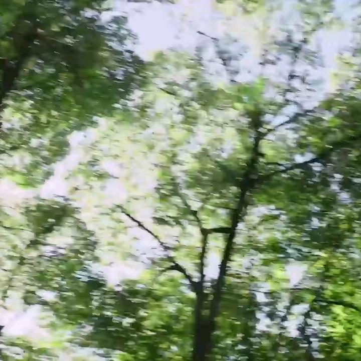 江之焰