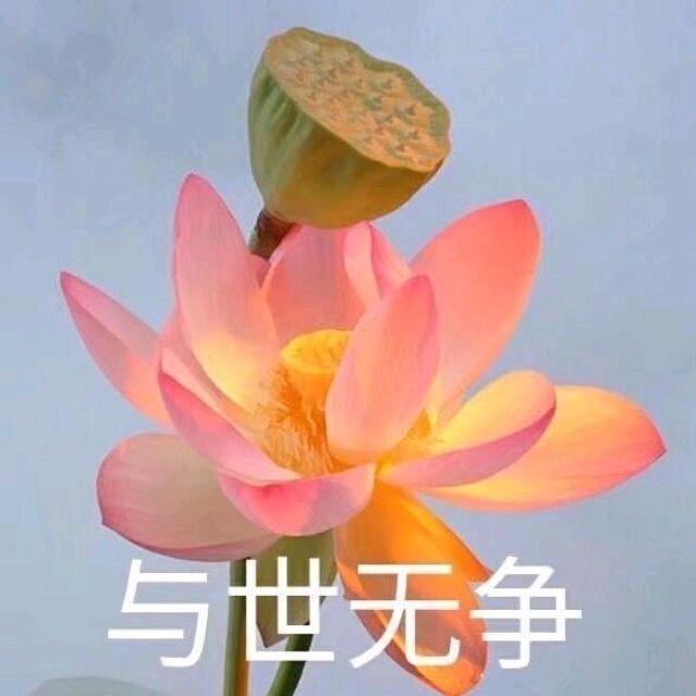 xying