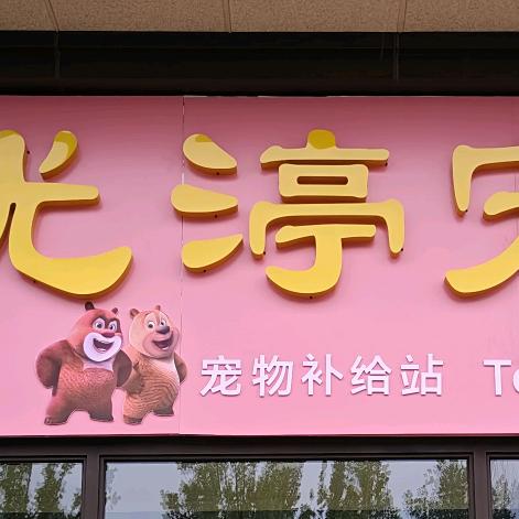 光渟宠物