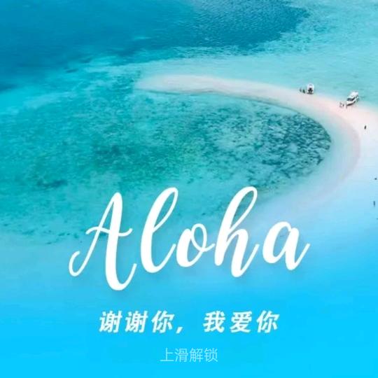 ALOHA李毅