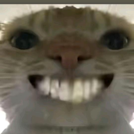 快乐鼠鼠（三角洲行动）