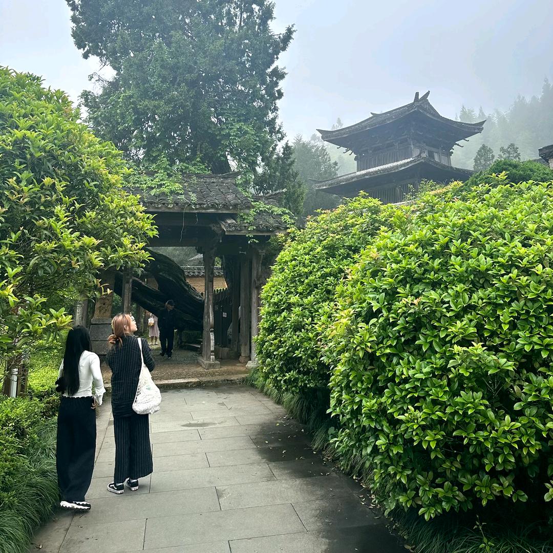 崔老四