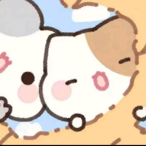 小骑士