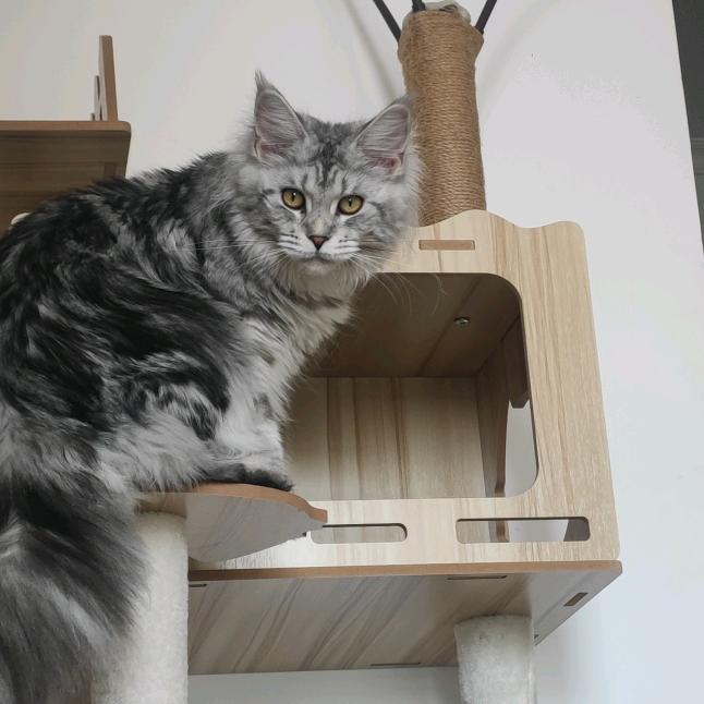 又菜又爱玩的小蒋同学