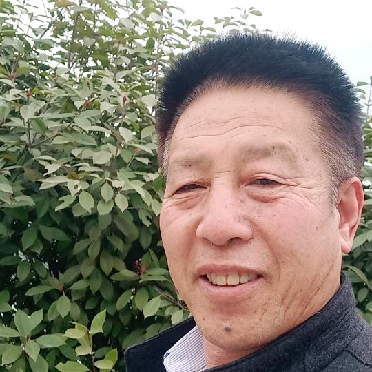 专业二次结构木工