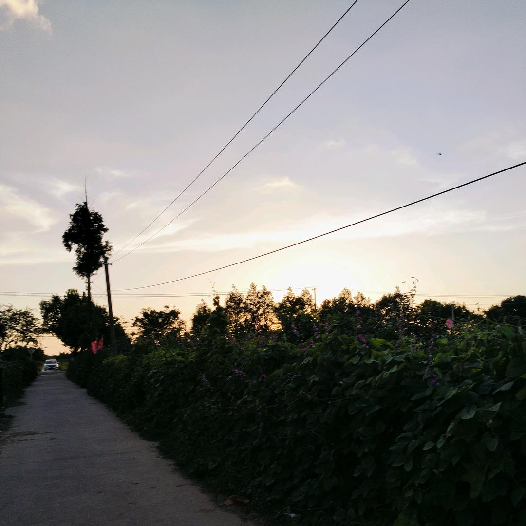 东西北南