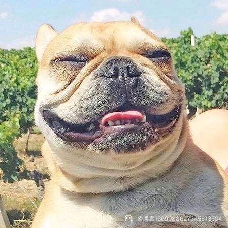 你怎么不早说啊