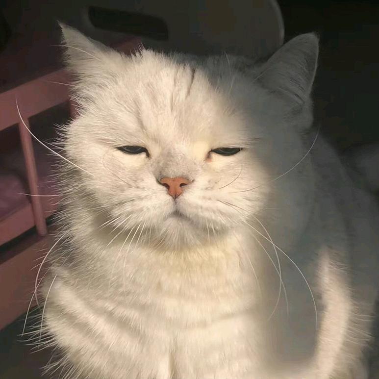 -L
