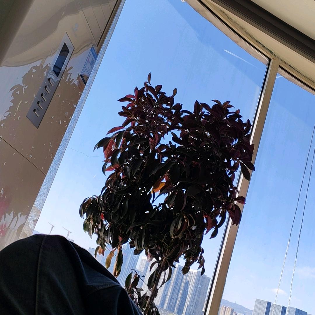 留白