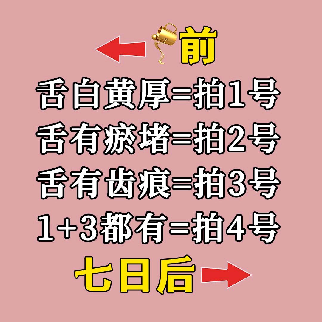 华氏珍草堂②