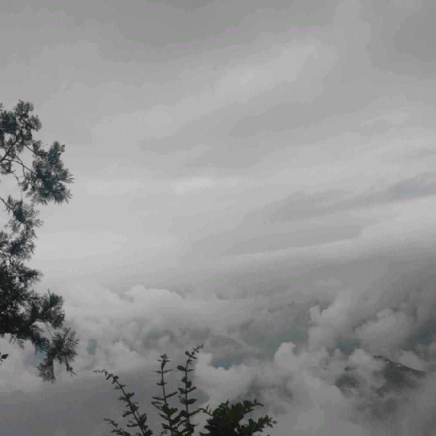以悦己之心悦己
