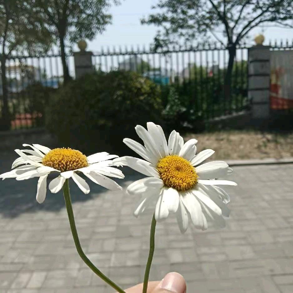 善念堂 佛渡有缘人