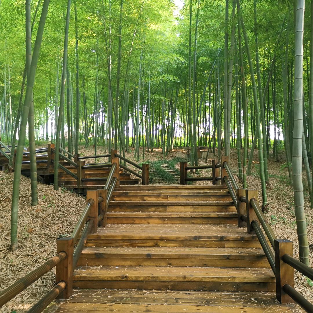 金龙鹰—王永强