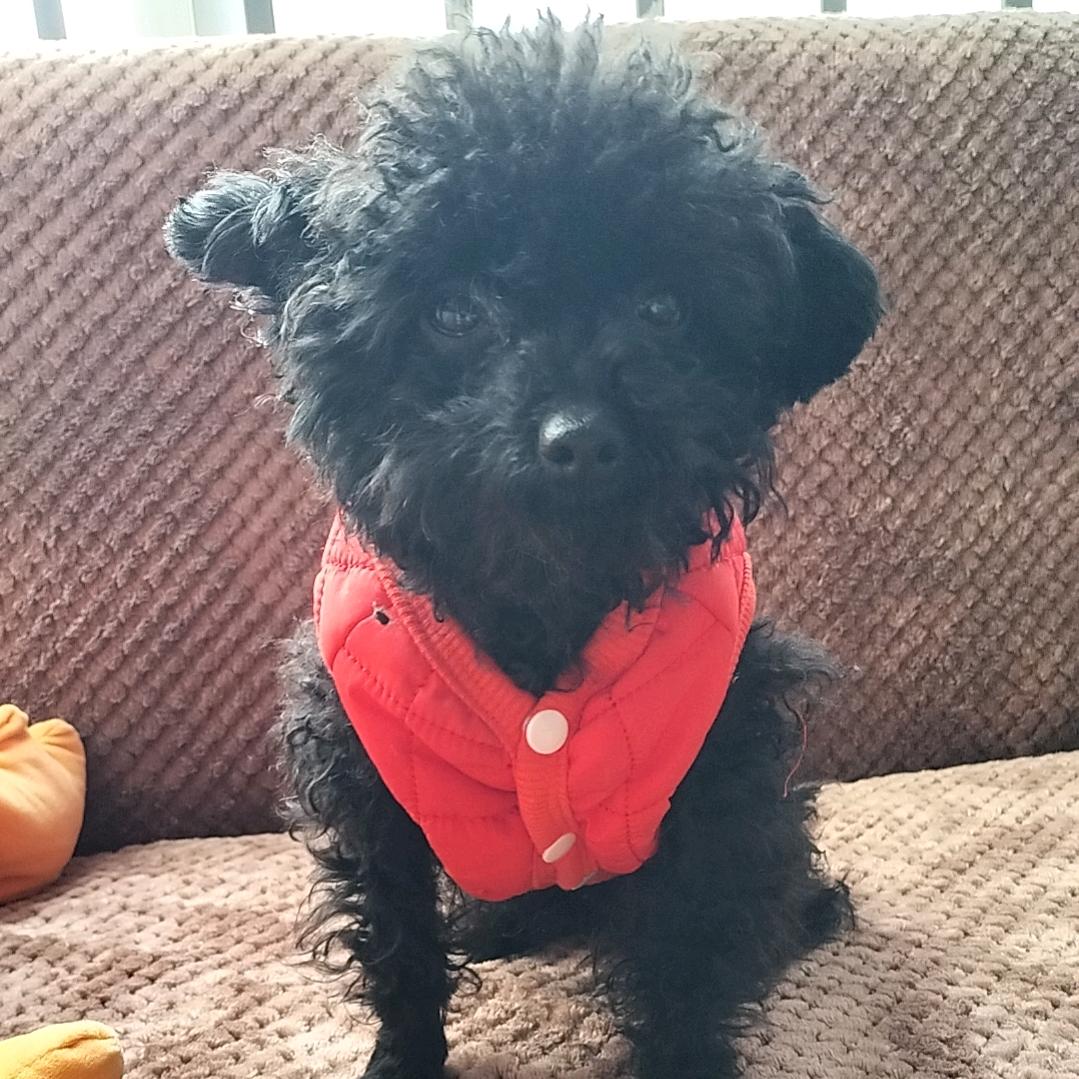 এ᭄𝑄𝑢𝑒𝑒𝑛ོꦿ࿐