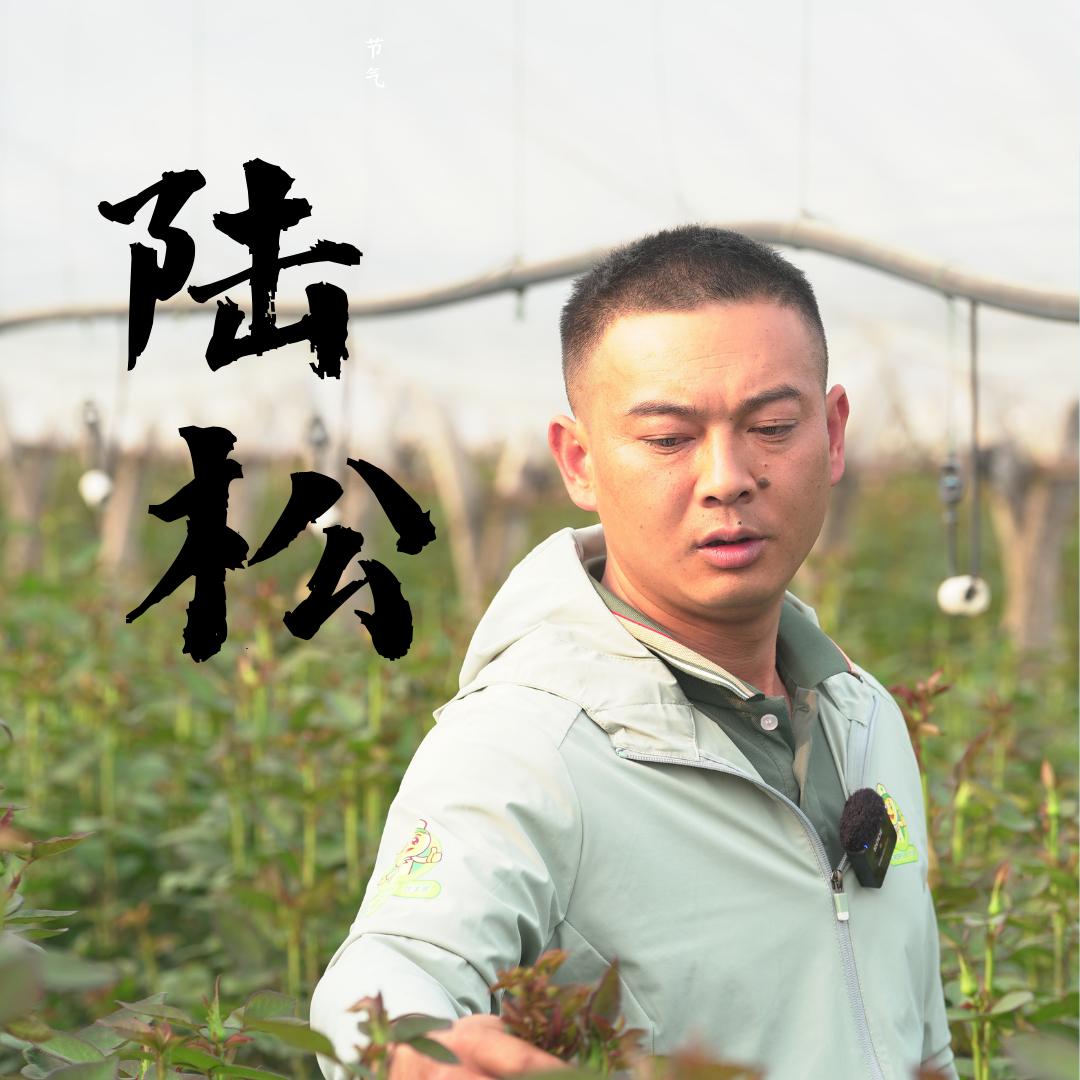 花二代  陆松