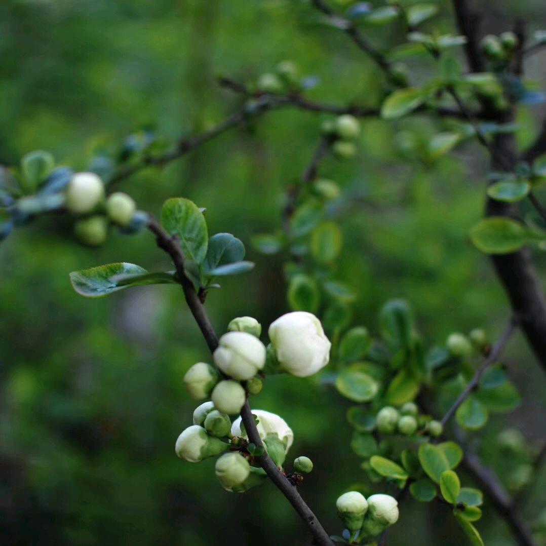 湖北宝月汇家政