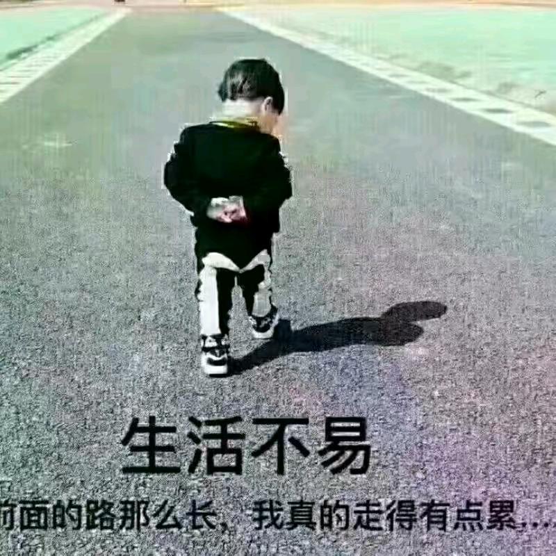 我骑着我的小毛驴看月亮