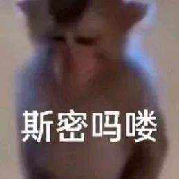 祈霁