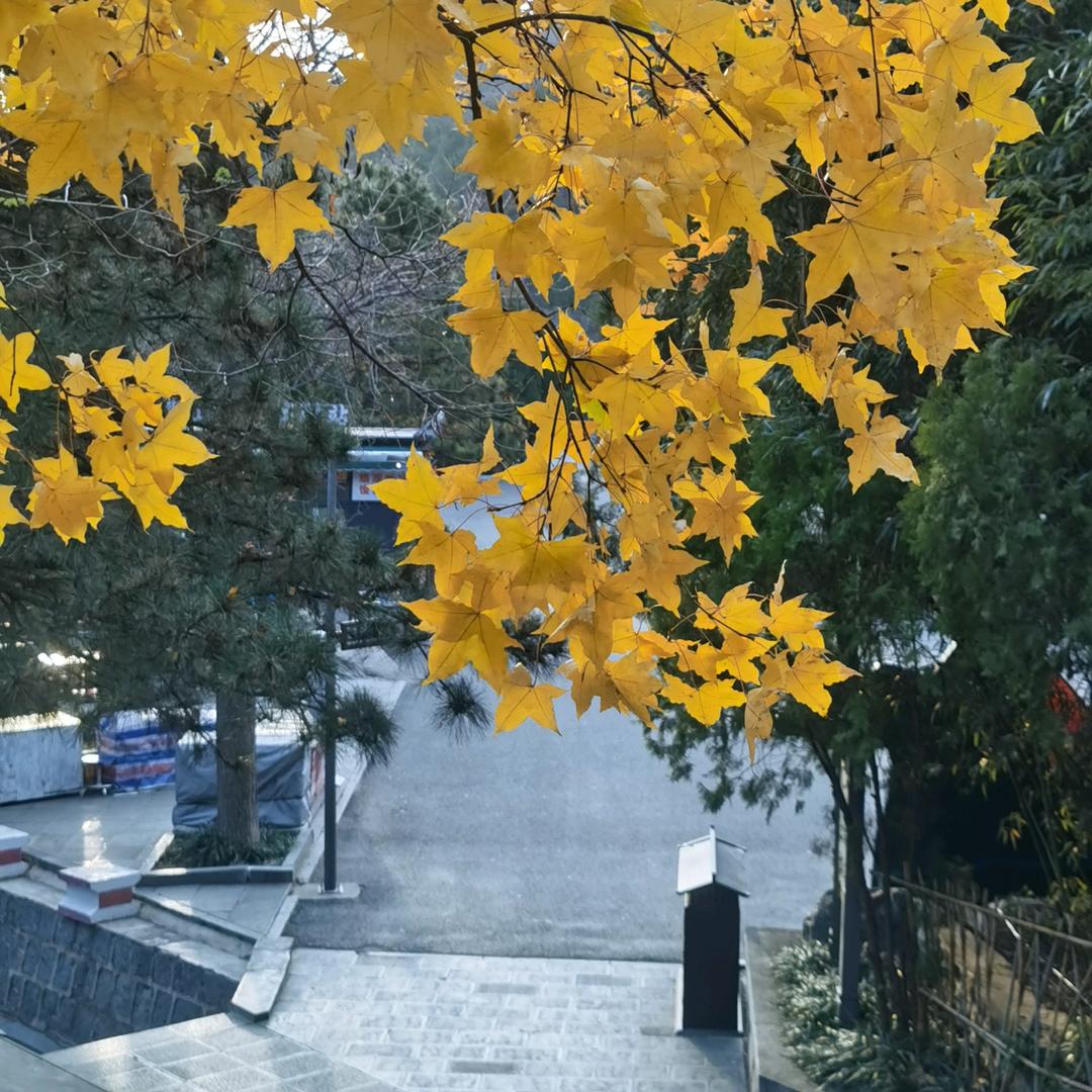 登封福源