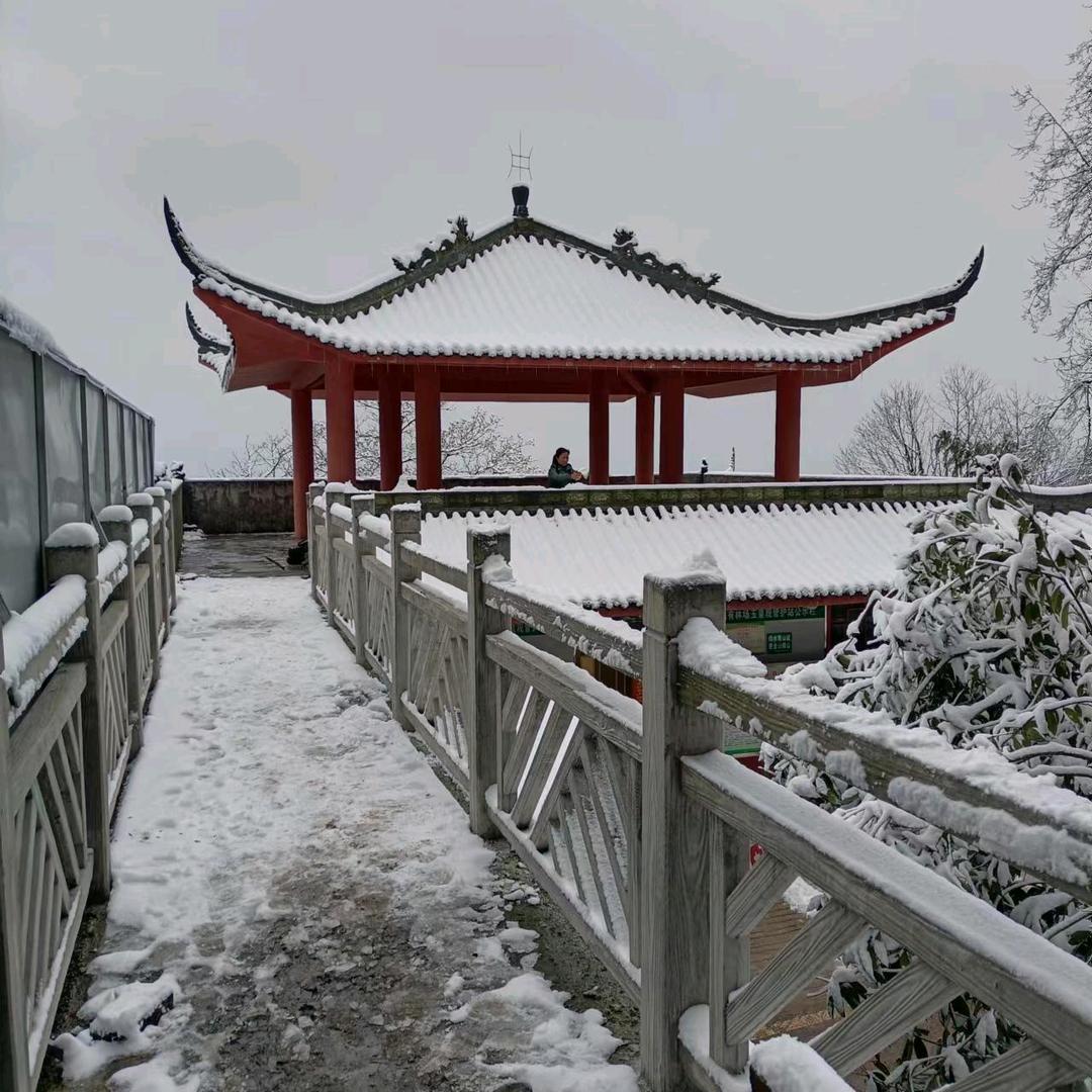 宋姐