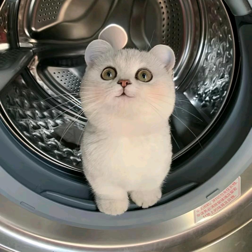 甜思思
